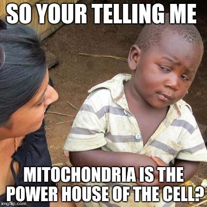 Third World Skeptical Kid | SO YOUR TELLING ME; MITOCHONDRIA IS THE POWER HOUSE OF THE CELL? | image tagged in memes,third world skeptical kid | made w/ Imgflip meme maker