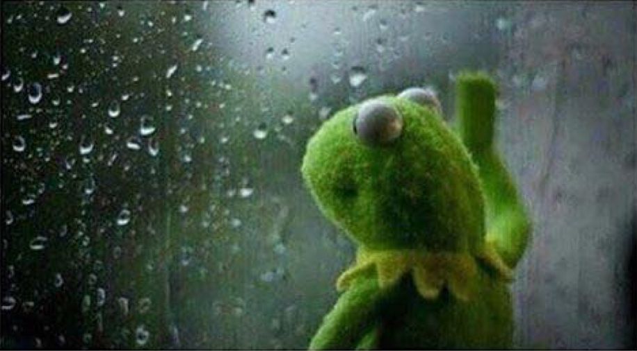 High Quality Kermit staring out of window Blank Meme Template