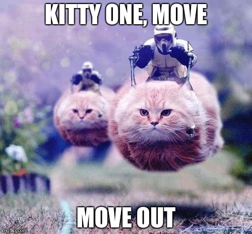 star wars cats | KITTY ONE, MOVE; MOVE OUT | image tagged in star wars cats | made w/ Imgflip meme maker