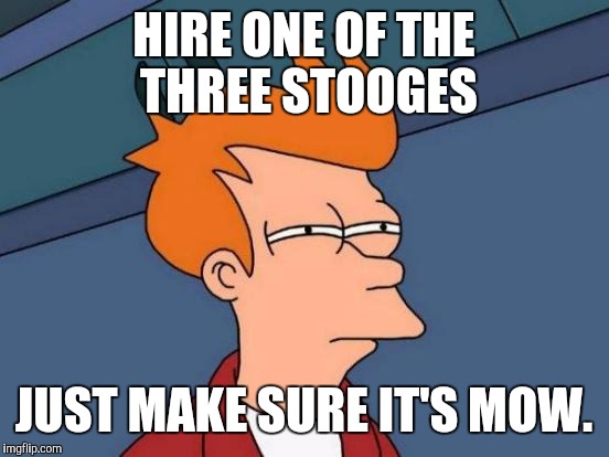 Futurama Fry Meme | HIRE ONE OF THE THREE STOOGES JUST MAKE SURE IT'S MOW. | image tagged in memes,futurama fry | made w/ Imgflip meme maker