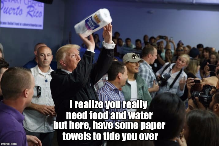 dumb dumb shows up | I realize you really need food and water; but here, have some paper towels to tide you over | image tagged in memes | made w/ Imgflip meme maker