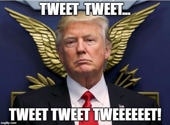 Eagle head Trump | TWEET  TWEET... TWEET TWEET TWEEEEEET! | image tagged in eagle head trump | made w/ Imgflip meme maker