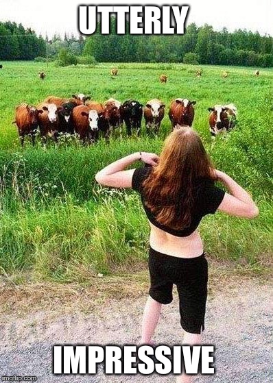 Flashing Cows(?) | UTTERLY; IMPRESSIVE | image tagged in flashing cows | made w/ Imgflip meme maker