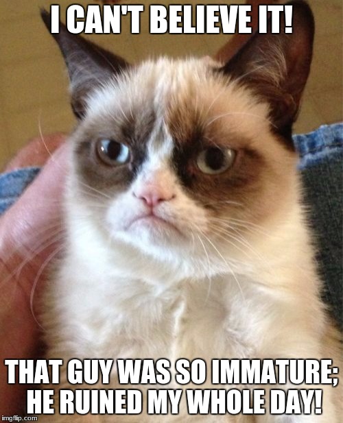 Grumpy Cat Meme | I CAN'T BELIEVE IT! THAT GUY WAS SO IMMATURE; HE RUINED MY WHOLE DAY! | image tagged in memes,grumpy cat | made w/ Imgflip meme maker