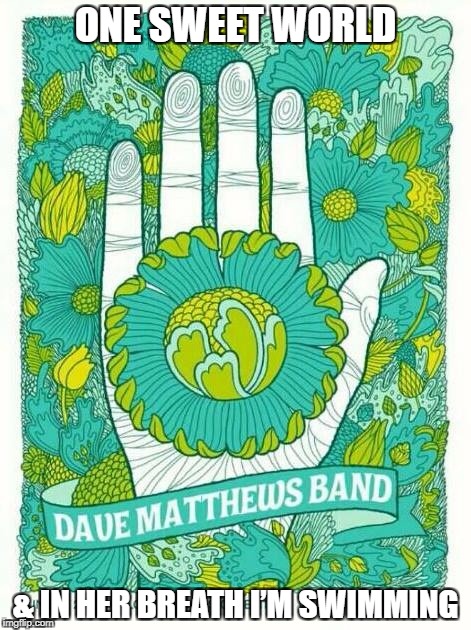 DMB One Sweet World | ONE SWEET WORLD; & IN HER BREATH I’M SWIMMING | image tagged in dmb,dave matthews band,one sweet world,in her breath im swimming | made w/ Imgflip meme maker