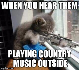 CatSniper | WHEN YOU HEAR THEM; PLAYING COUNTRY MUSIC OUTSIDE | image tagged in catsniper | made w/ Imgflip meme maker