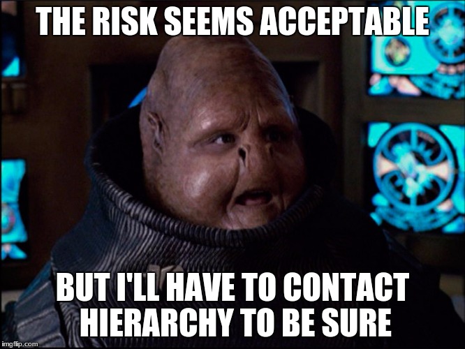 THE RISK SEEMS ACCEPTABLE BUT I'LL HAVE TO CONTACT HIERARCHY TO BE SURE | made w/ Imgflip meme maker