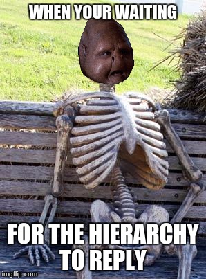 Waiting Skeleton Meme | WHEN YOUR WAITING; FOR THE HIERARCHY TO REPLY | image tagged in memes,waiting skeleton,overlooker meme | made w/ Imgflip meme maker