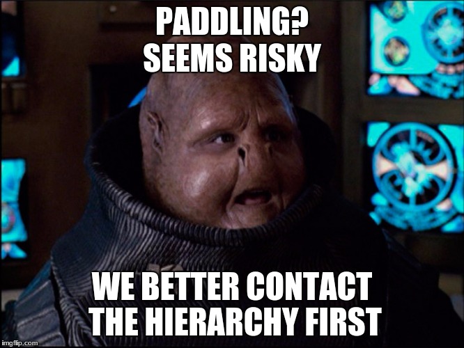 PADDLING? WE BETTER CONTACT THE HIERARCHY FIRST SEEMS RISKY | made w/ Imgflip meme maker