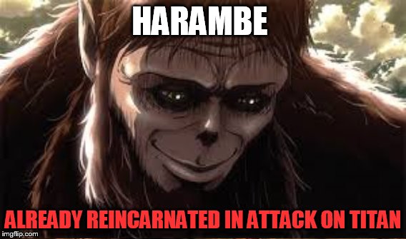 HARAMBE'S REINCARNATION | HARAMBE ALREADY REINCARNATED IN ATTACK ON TITAN | image tagged in harambe,beast,attack on titan,creepy smile,reincarnation,wtf | made w/ Imgflip meme maker