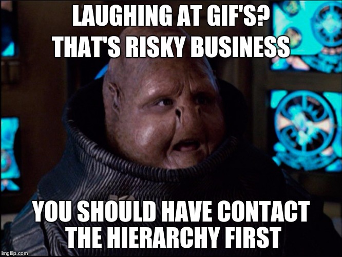 LAUGHING AT GIF'S? YOU SHOULD HAVE CONTACT THE HIERARCHY FIRST THAT'S RISKY BUSINESS | made w/ Imgflip meme maker