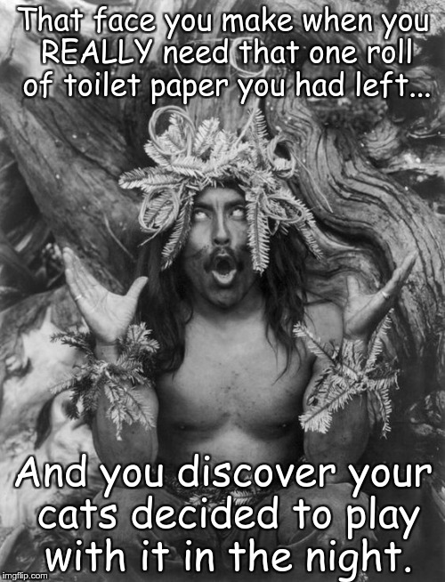 Hamatsu Shaman Robert Downey Jr. Eyeroll on steroids | That face you make when you REALLY need that one roll of toilet paper you had left... And you discover your cats decided to play with it in the night. | image tagged in hamatsu shaman robert downey jr eyeroll on steroids | made w/ Imgflip meme maker