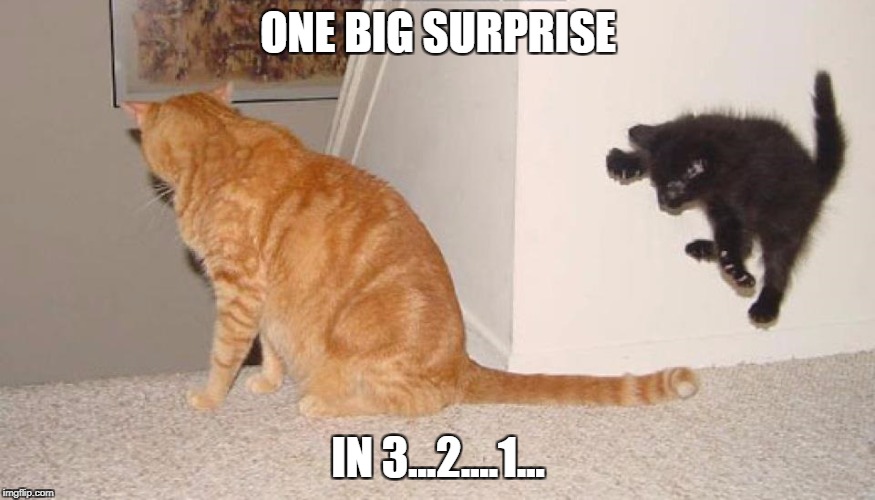ONE BIG SURPRISE; IN 3...2....1... | image tagged in kitten,kitten pounce,surprise,funny meme,funny animals | made w/ Imgflip meme maker