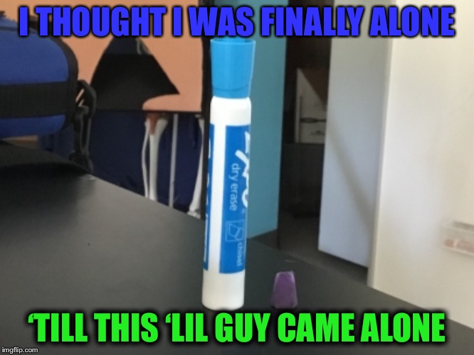 Why can’t I ever be alone? | I THOUGHT I WAS FINALLY ALONE; ‘TILL THIS ‘LIL GUY CAME ALONE | image tagged in memes,one does not simply,first world problems,the most interesting man in the world,marker,grumpy cat | made w/ Imgflip meme maker