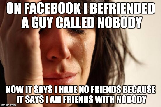 First World Problems | ON FACEBOOK I BEFRIENDED A GUY CALLED NOBODY; NOW IT SAYS I HAVE NO FRIENDS BECAUSE IT SAYS I AM FRIENDS WITH NOBODY | image tagged in memes,first world problems | made w/ Imgflip meme maker