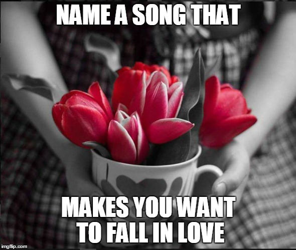NAME A SONG THAT; MAKES YOU WANT TO FALL IN LOVE | image tagged in love | made w/ Imgflip meme maker