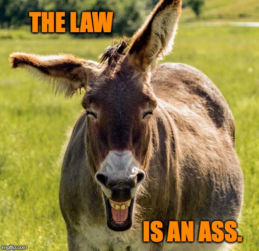 THE LAW IS AN ASS. | made w/ Imgflip meme maker