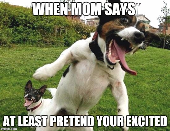Partydogs | WHEN MOM SAYS; AT LEAST PRETEND YOUR EXCITED | image tagged in partydogs | made w/ Imgflip meme maker