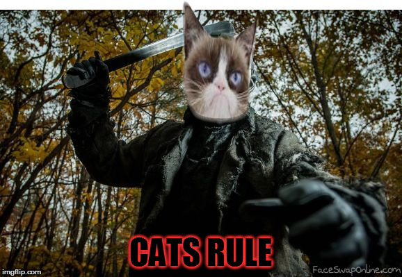 grumpy cat jason | CATS RULE | image tagged in grumpy cat jason | made w/ Imgflip meme maker