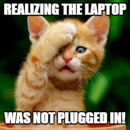 forgot cat | REALIZING THE LAPTOP; WAS NOT PLUGGED IN! | image tagged in forgot cat | made w/ Imgflip meme maker