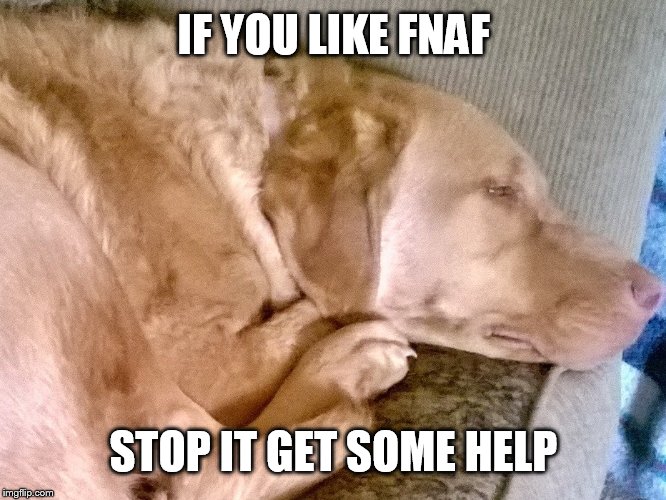 IF YOU LIKE FNAF; STOP IT GET SOME HELP | image tagged in lazydog666 | made w/ Imgflip meme maker