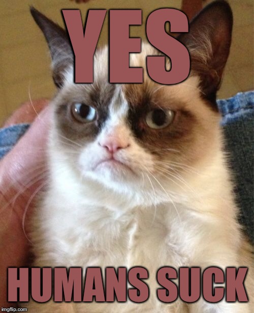 Grumpy Cat Meme | YES HUMANS SUCK | image tagged in memes,grumpy cat | made w/ Imgflip meme maker