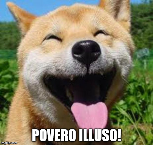 Happy Doge | POVERO ILLUSO! | image tagged in happy doge | made w/ Imgflip meme maker