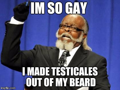 Too Damn High | IM SO GAY; I MADE TESTICALES OUT OF MY BEARD | image tagged in memes,too damn high | made w/ Imgflip meme maker