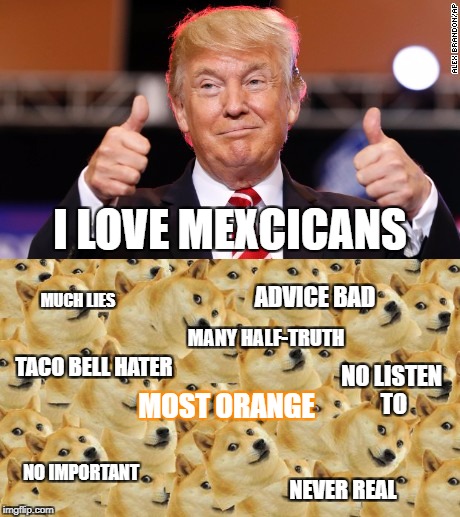 Trump v.s. Doge  | I LOVE MEXCICANS; ADVICE BAD; MUCH LIES; MANY HALF-TRUTH; TACO BELL HATER; NO LISTEN TO; MOST ORANGE; NO IMPORTANT; NEVER REAL | image tagged in doge,donald trump,mexico,memes,talk | made w/ Imgflip meme maker