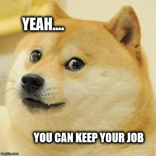 Job Security | YEAH.... YOU CAN KEEP YOUR JOB | image tagged in memes,doge,job,work | made w/ Imgflip meme maker