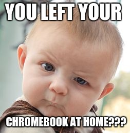 Skeptical Baby Meme | YOU LEFT YOUR; CHROMEBOOK AT HOME??? | image tagged in memes,skeptical baby | made w/ Imgflip meme maker