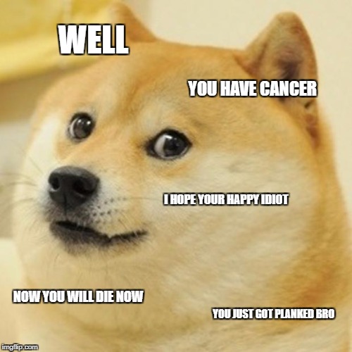 Doge Meme | WELL; YOU HAVE CANCER; I HOPE YOUR HAPPY IDIOT; NOW YOU WILL DIE NOW; YOU JUST GOT PLANKED BRO | image tagged in memes,doge | made w/ Imgflip meme maker