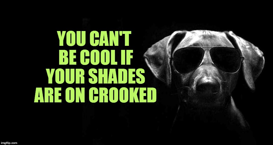 YOU CAN'T BE COOL IF YOUR SHADES ARE ON CROOKED | made w/ Imgflip meme maker