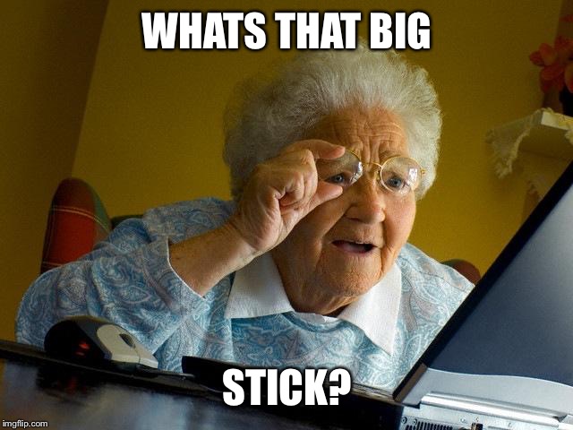 Grandma Finds The Internet Meme | WHATS THAT BIG; STICK? | image tagged in memes,grandma finds the internet | made w/ Imgflip meme maker