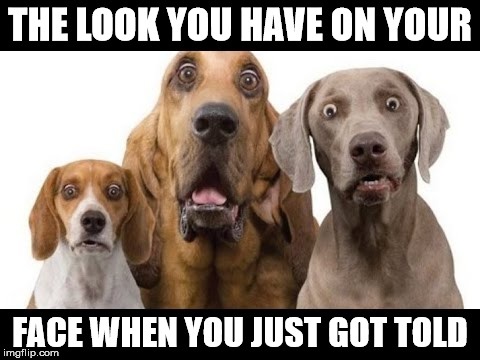 The Look | THE LOOK YOU HAVE ON YOUR; FACE WHEN YOU JUST GOT TOLD | image tagged in told,i told you,what if i told you,i was told,they told me but i didn't listen,that look | made w/ Imgflip meme maker