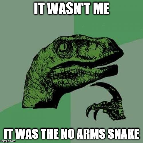 it wasn't me it was the no arms snake | IT WASN'T ME; IT WAS THE NO ARMS SNAKE | image tagged in memes,philosoraptor | made w/ Imgflip meme maker