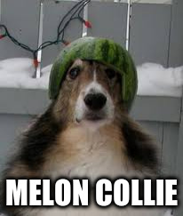 MELON COLLIE | made w/ Imgflip meme maker