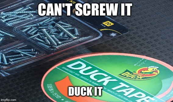 Great thought today  | CAN'T SCREW IT; DUCK IT | image tagged in duck | made w/ Imgflip meme maker