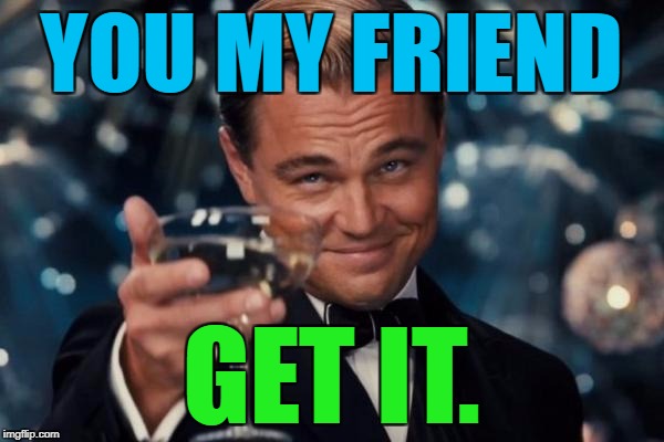 Leonardo Dicaprio Cheers Meme | YOU MY FRIEND GET IT. | image tagged in memes,leonardo dicaprio cheers | made w/ Imgflip meme maker