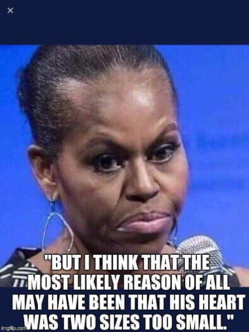 "BUT I THINK THAT THE MOST LIKELY REASON OF ALL MAY HAVE BEEN THAT HIS HEART WAS TWO SIZES TOO SMALL." | image tagged in moochelle | made w/ Imgflip meme maker