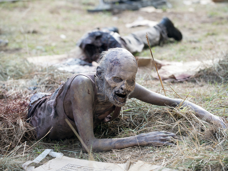 The Walking Dead Crawling Zombie Blank Meme Template