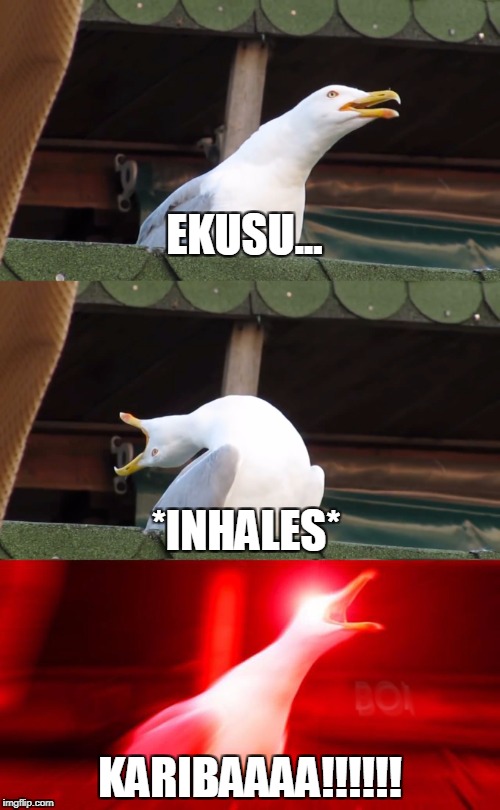 Inhaling seagull | EKUSU... *INHALES*; KARIBAAAA!!!!!! | image tagged in inhaling seagull | made w/ Imgflip meme maker