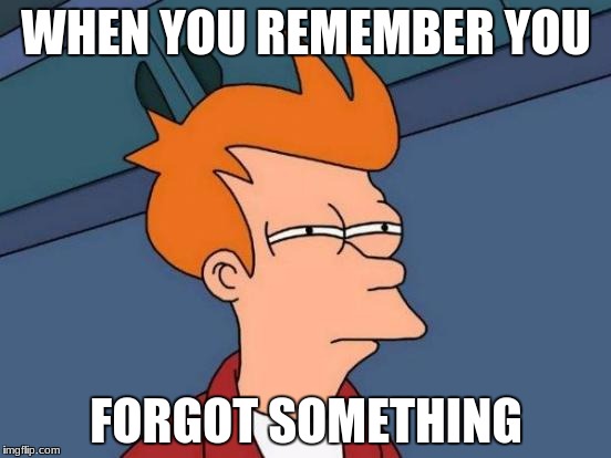 Futurama Fry | WHEN YOU REMEMBER YOU; FORGOT SOMETHING | image tagged in memes,futurama fry | made w/ Imgflip meme maker