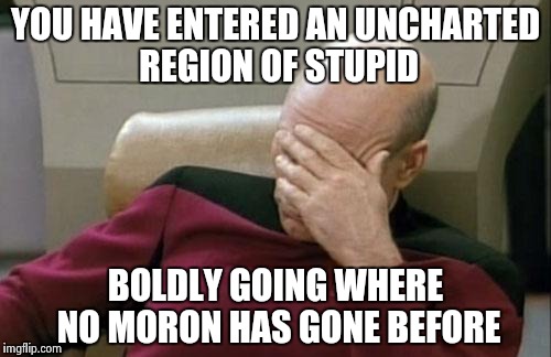 Captain Picard Facepalm Meme | YOU HAVE ENTERED AN UNCHARTED REGION OF STUPID BOLDLY GOING WHERE NO MORON HAS GONE BEFORE | image tagged in memes,captain picard facepalm | made w/ Imgflip meme maker