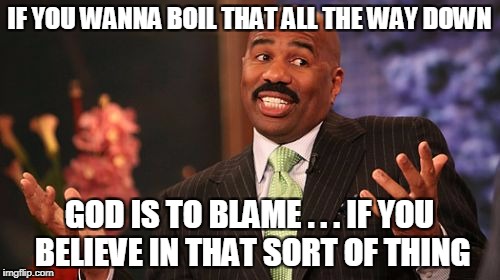 Steve Harvey Meme | IF YOU WANNA BOIL THAT ALL THE WAY DOWN GOD IS TO BLAME . . . IF YOU BELIEVE IN THAT SORT OF THING | image tagged in memes,steve harvey | made w/ Imgflip meme maker