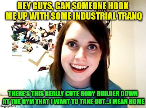 Overly Attached Girlfriend Meme | HEY GUYS, CAN SOMEONE HOOK ME UP WITH SOME INDUSTRIAL TRANQ; THERE'S THIS REALLY CUTE BODY BUILDER DOWN AT THE GYM THAT I WANT TO TAKE OUT...I MEAN HOME | image tagged in memes,overly attached girlfriend | made w/ Imgflip meme maker