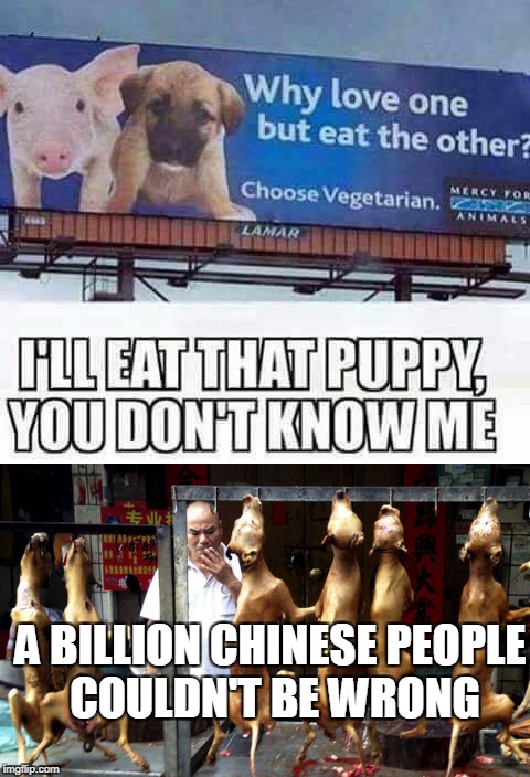 (Use your imagination, you're probably more creative anyway.) | A BILLION CHINESE PEOPLE COULDN'T BE WRONG | image tagged in vegetarian,peta,dogs,pigs,animals,food | made w/ Imgflip meme maker