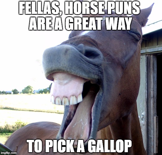 Horse puns are... | FELLAS, HORSE PUNS ARE A GREAT WAY; TO PICK A GALLOP | image tagged in horse,pun,bad pickup lines,subtle pickup liner,dating | made w/ Imgflip meme maker