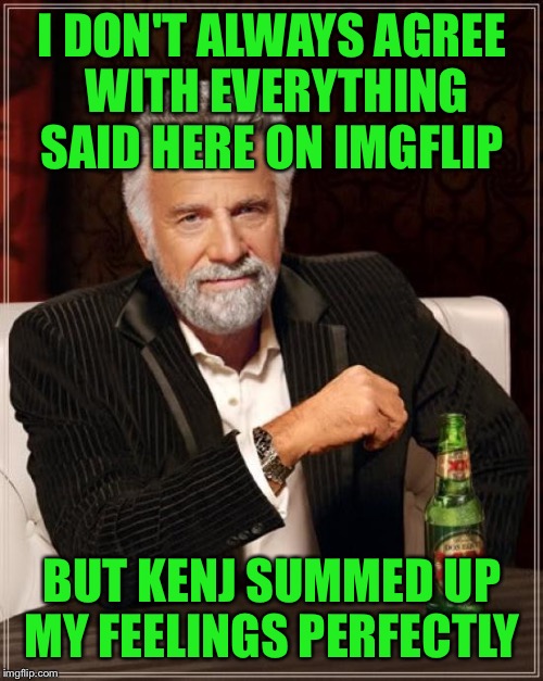 The Most Interesting Man In The World Meme | I DON'T ALWAYS AGREE WITH EVERYTHING SAID HERE ON IMGFLIP BUT KENJ SUMMED UP MY FEELINGS PERFECTLY | image tagged in memes,the most interesting man in the world | made w/ Imgflip meme maker