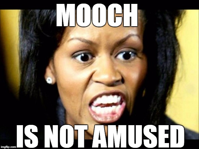 MOOCH IS NOT AMUSED | made w/ Imgflip meme maker